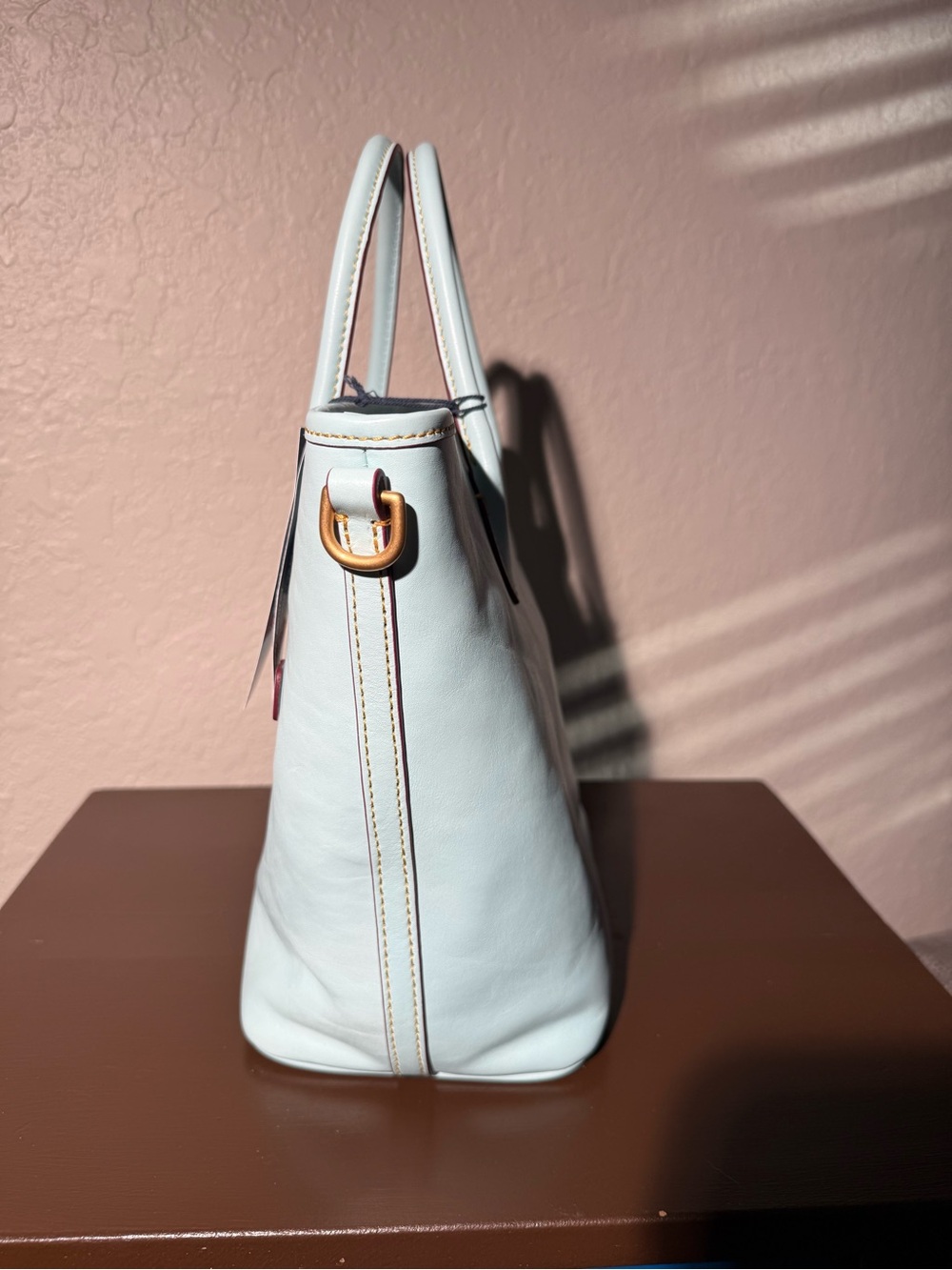 Dooney & Bourke Florentine Handle Tote – Pale Blue & Dark Red ($498) - Picture 9 of 16